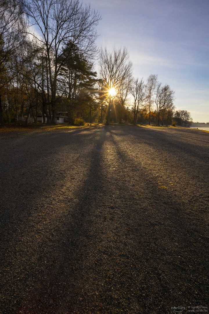 Gegenlicht am Kuhsee