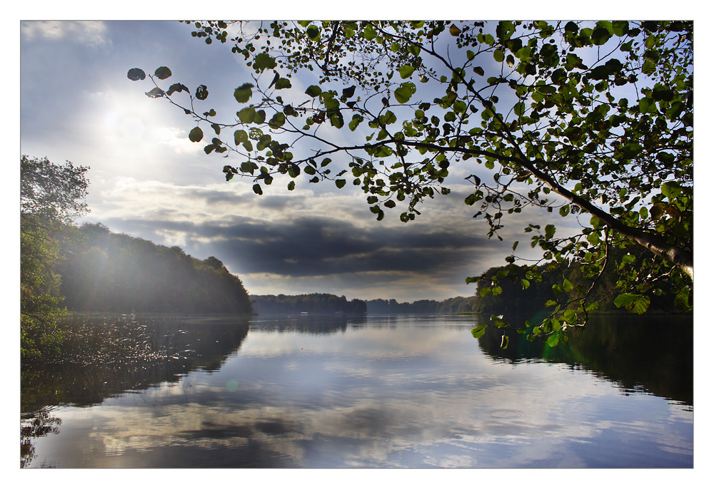 Gegenlicht am Liepnitzsee