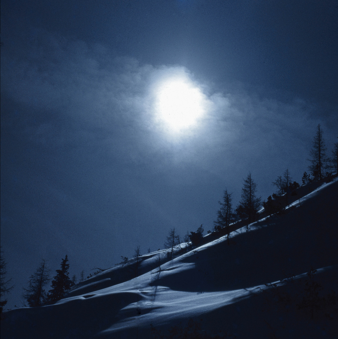 Gegenlicht am Schneehang