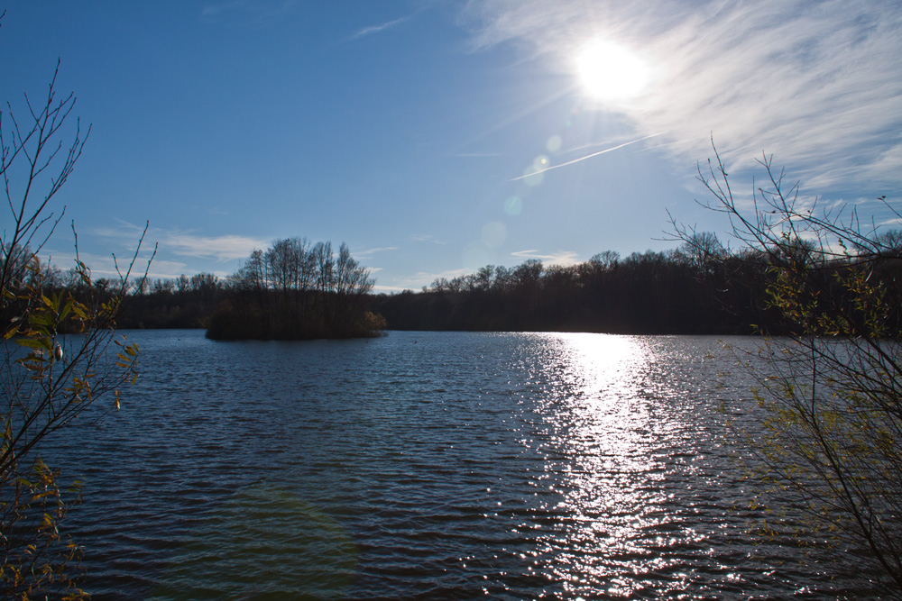 Gegenlicht am See