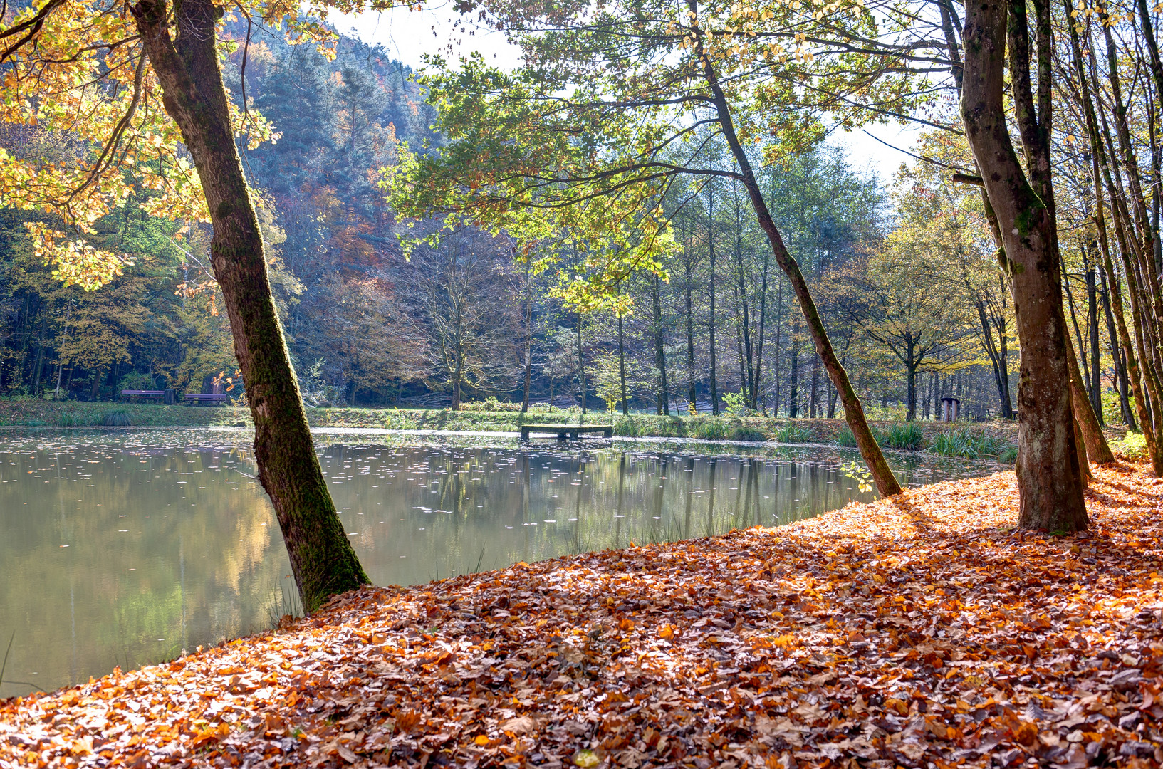 Gegenlicht am See