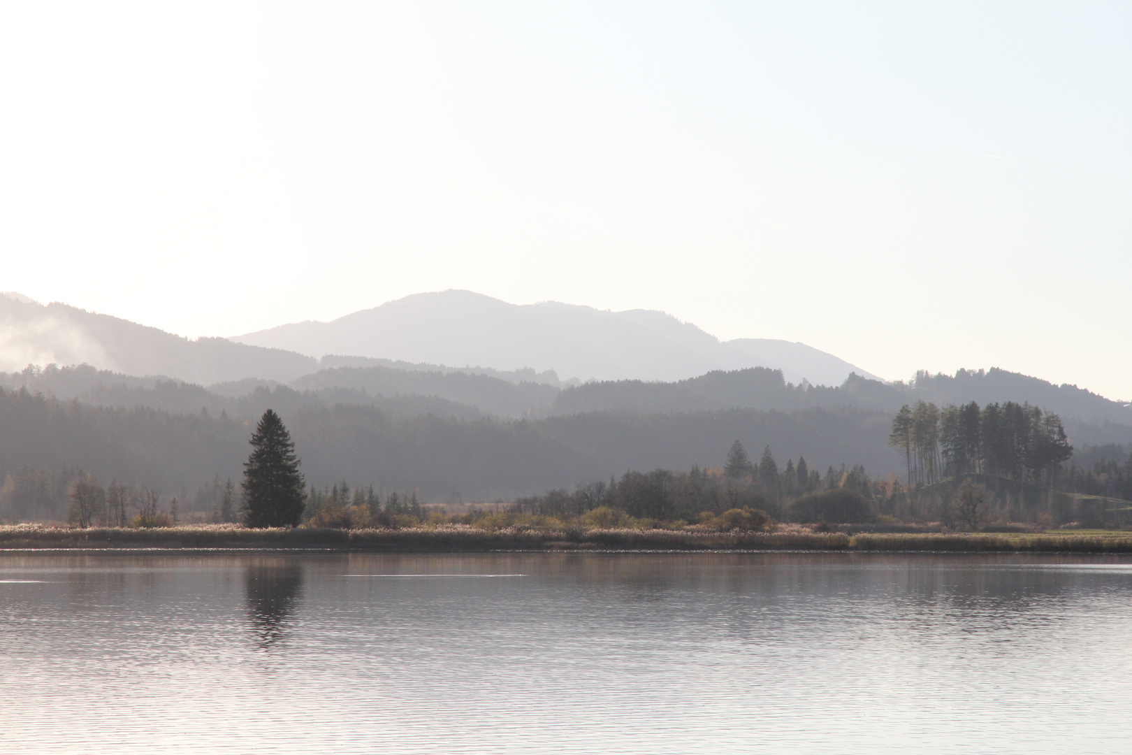 Gegenlicht am Staffelsee