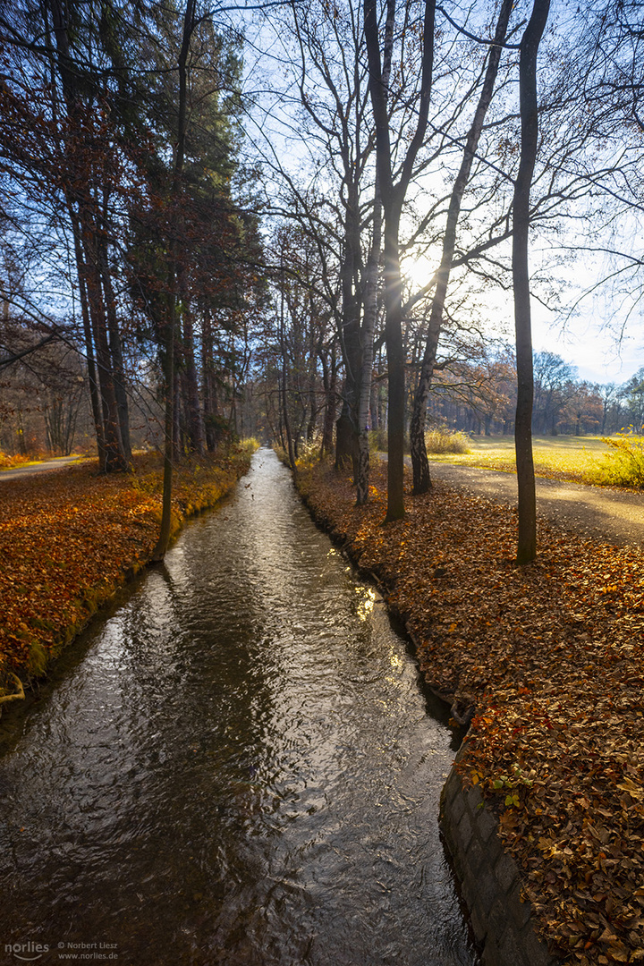 Gegenlicht am Wasser