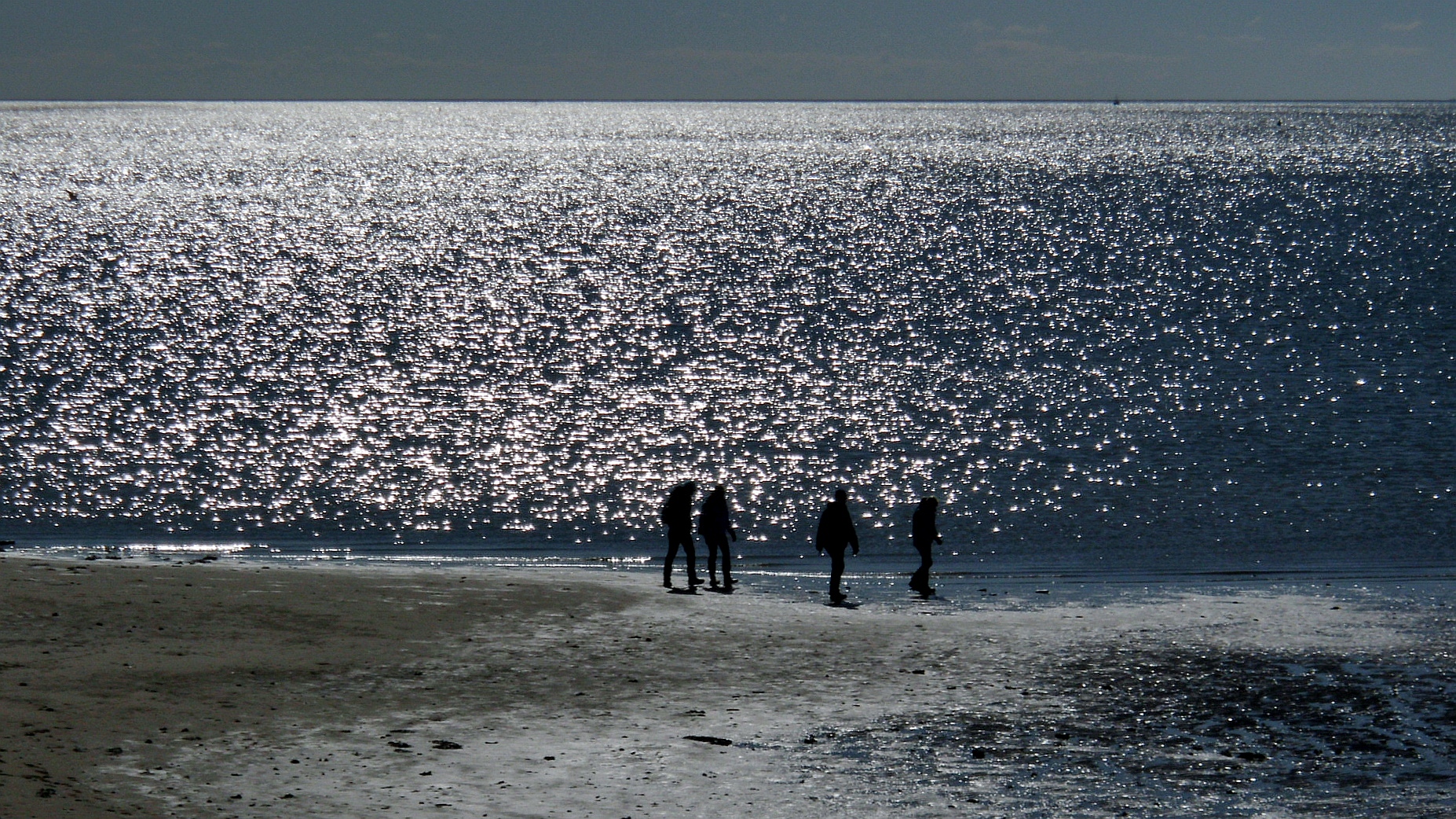 Gegenlicht am Wattenmeer