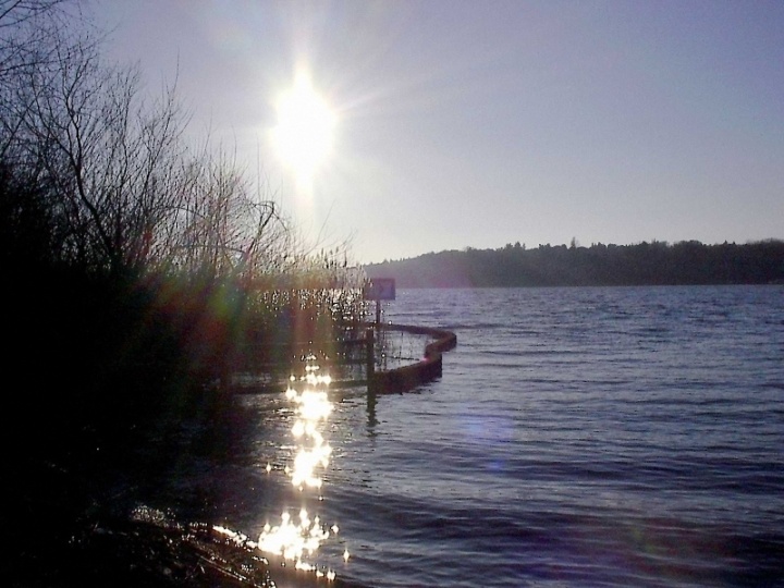 Gegenlicht an der Havel