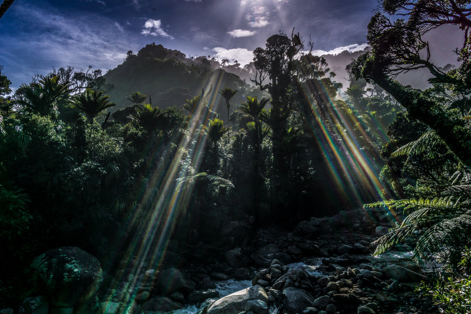 Gegenlicht auf dem Heaphy Track