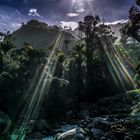 Gegenlicht auf dem Heaphy Track