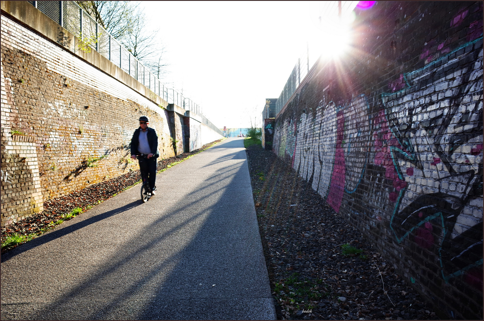 Gegenlicht auf Phoenix-West