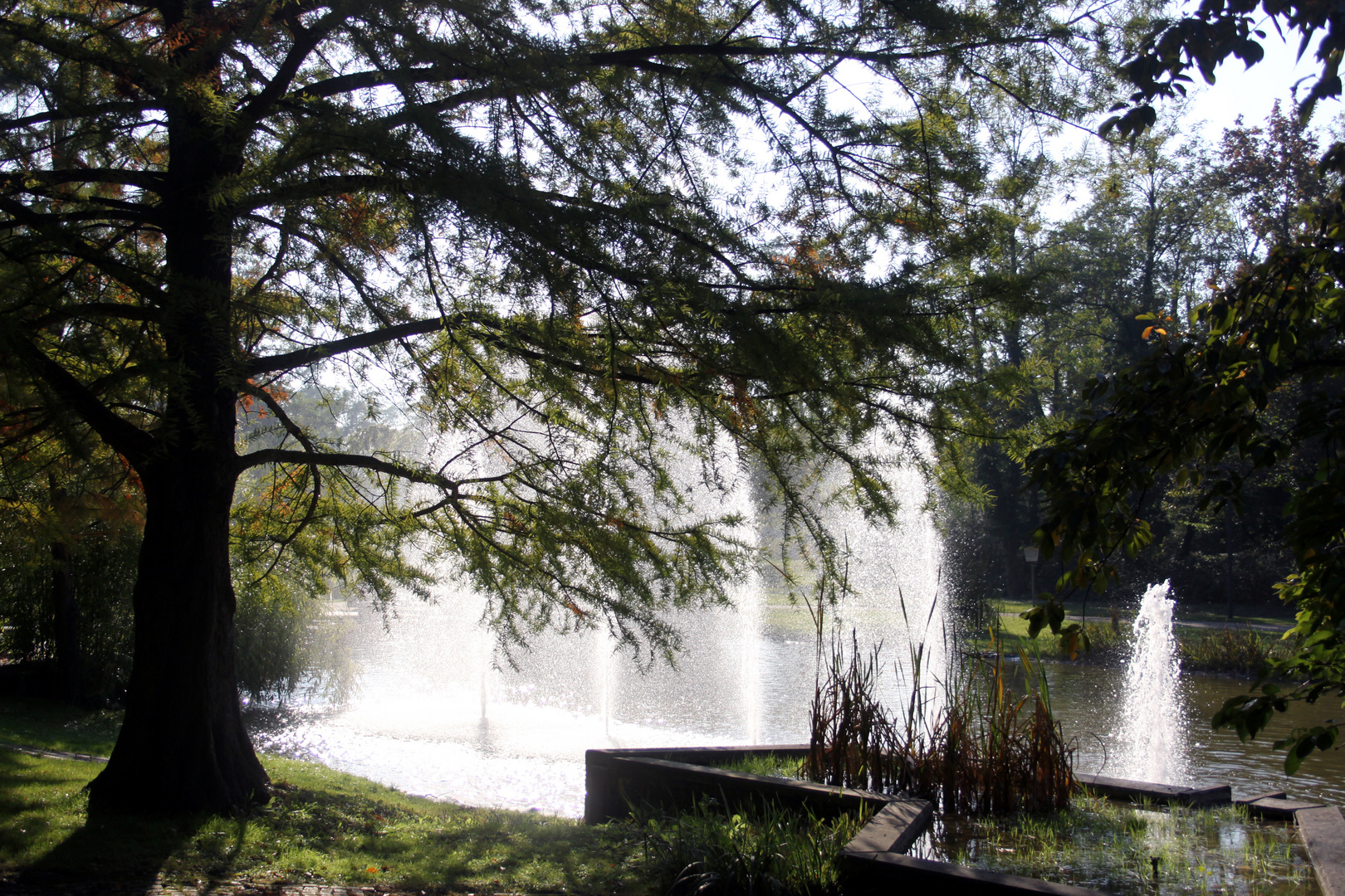 Gegenlicht Aufnahme mit Wassersprühnebel