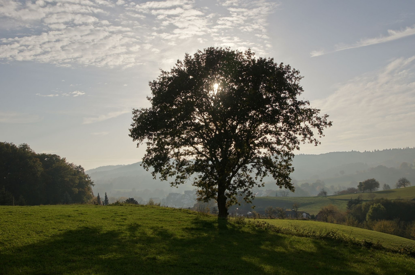 Gegenlicht