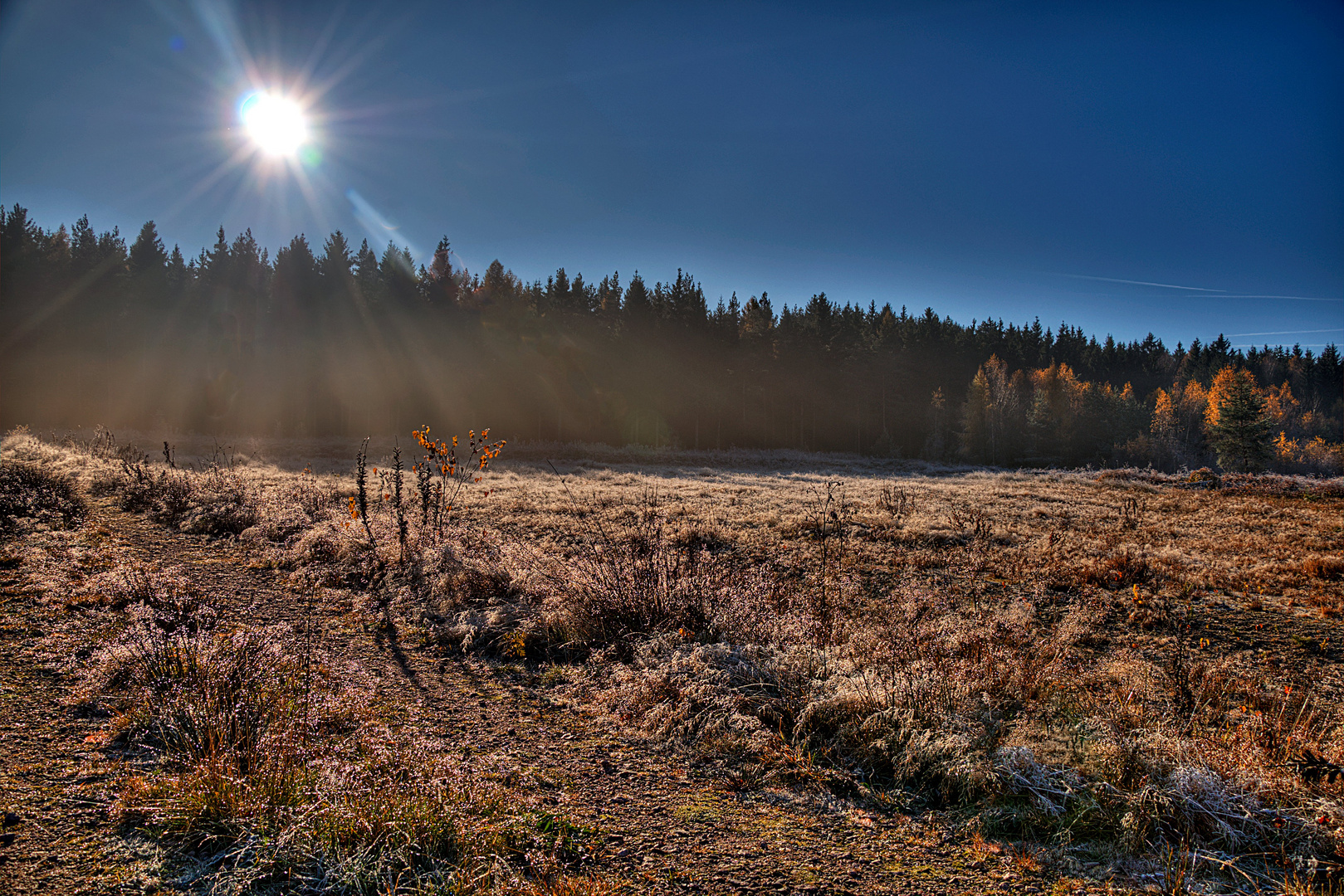 Gegenlicht