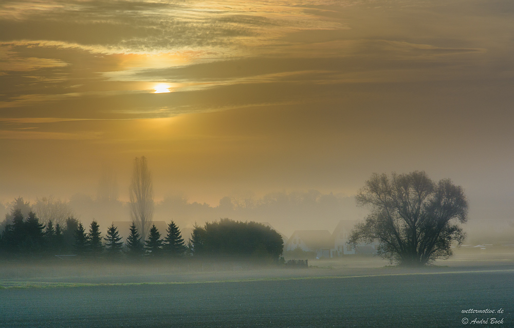 Gegenlicht