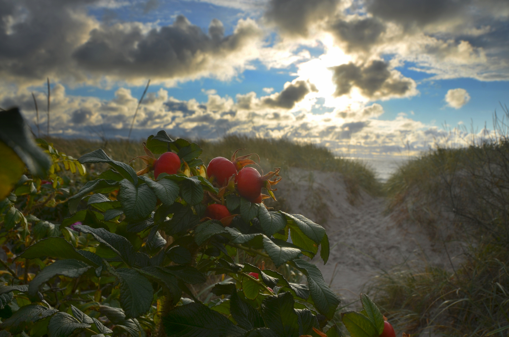 gegenlicht  hiddensee 