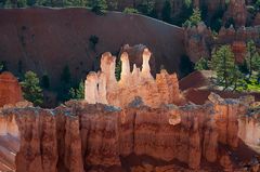 Gegenlicht im Bryce Canyon