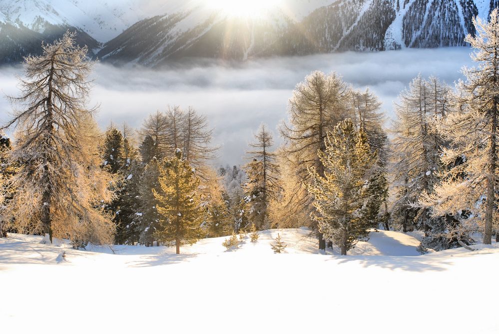 Gegenlicht im Engadin