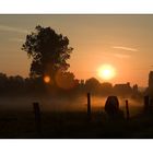 Gegenlicht im Morgengrauen