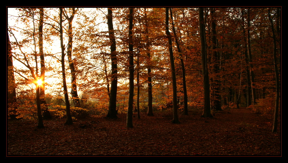 Gegenlicht im Rahmen