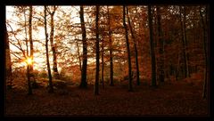 Gegenlicht im Rahmen