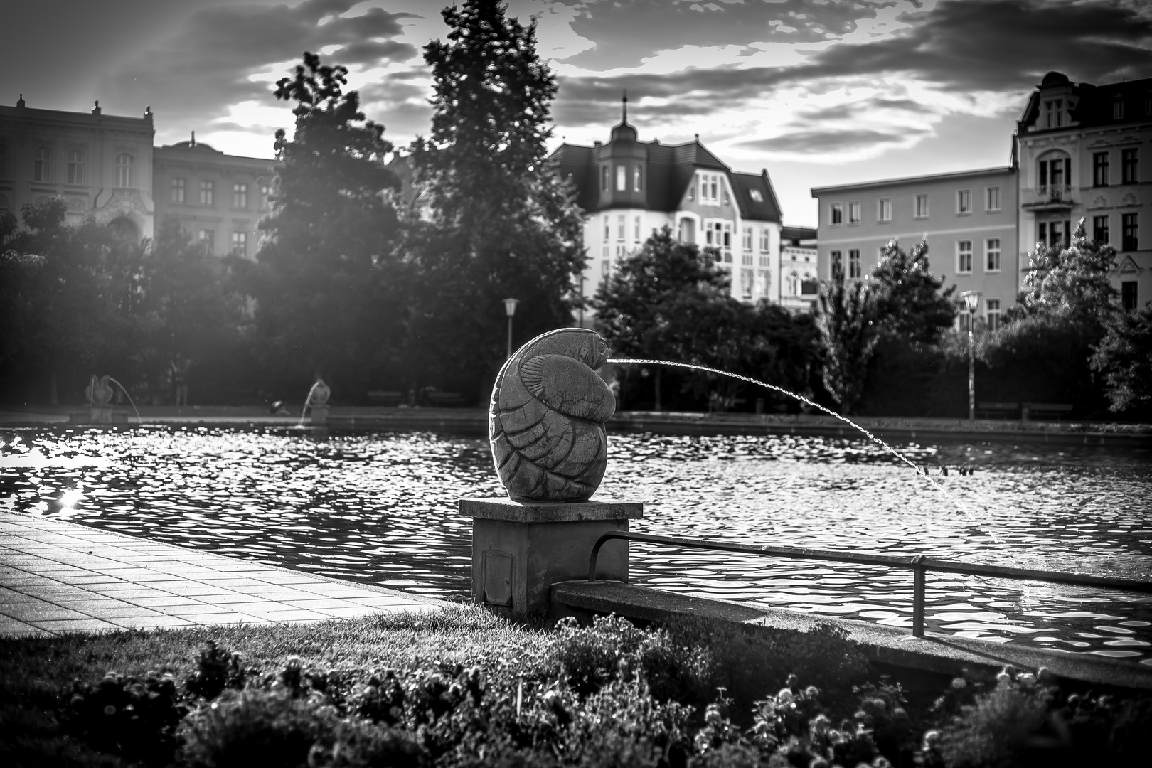 Gegenlicht im Schillerpark Cottbus