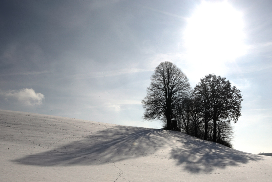 Gegenlicht im Schnee