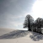 Gegenlicht im Schnee