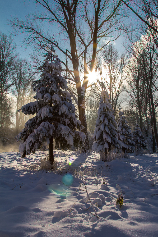 Gegenlicht im Schnee