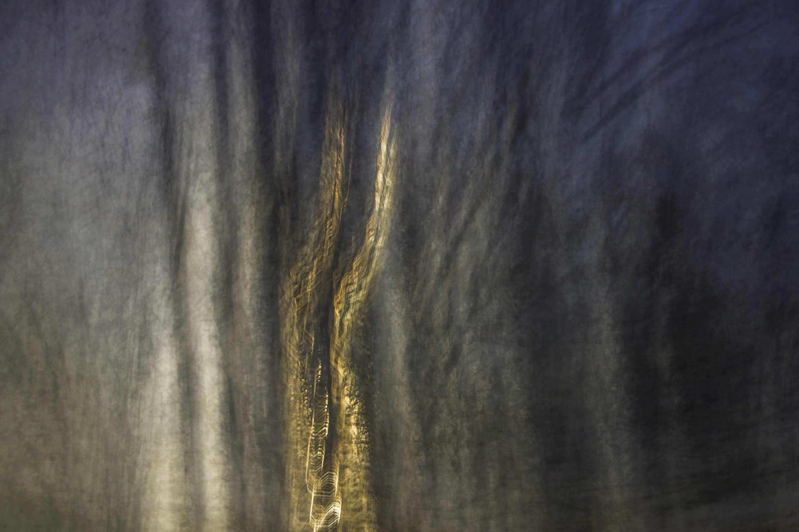 Gegenlicht im Wald in Verbindung mit ICM Fotografie