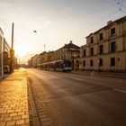 Gegenlicht in der Halderstraße