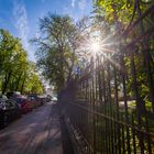 Gegenlicht in der Johannes-Haag-Straße