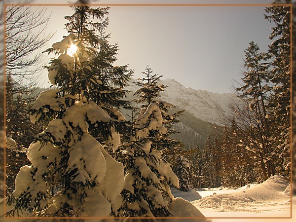 Gegenlicht in Kloaschautal