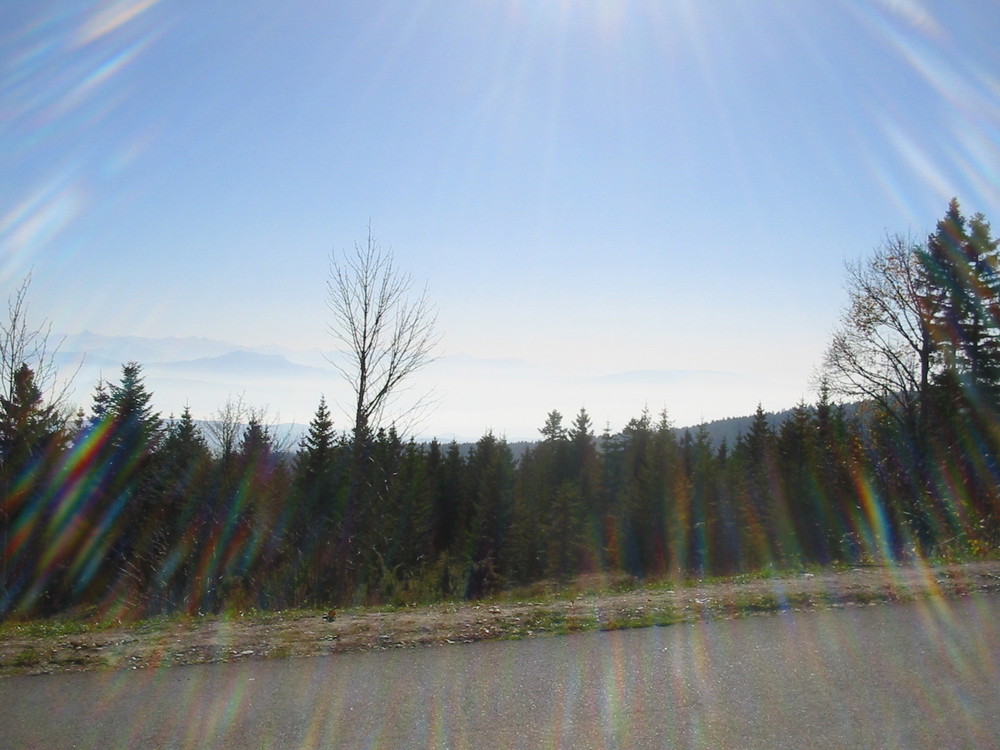 Gegenlicht Jura