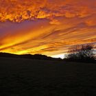 Gegenlicht mit den schönsten Farben