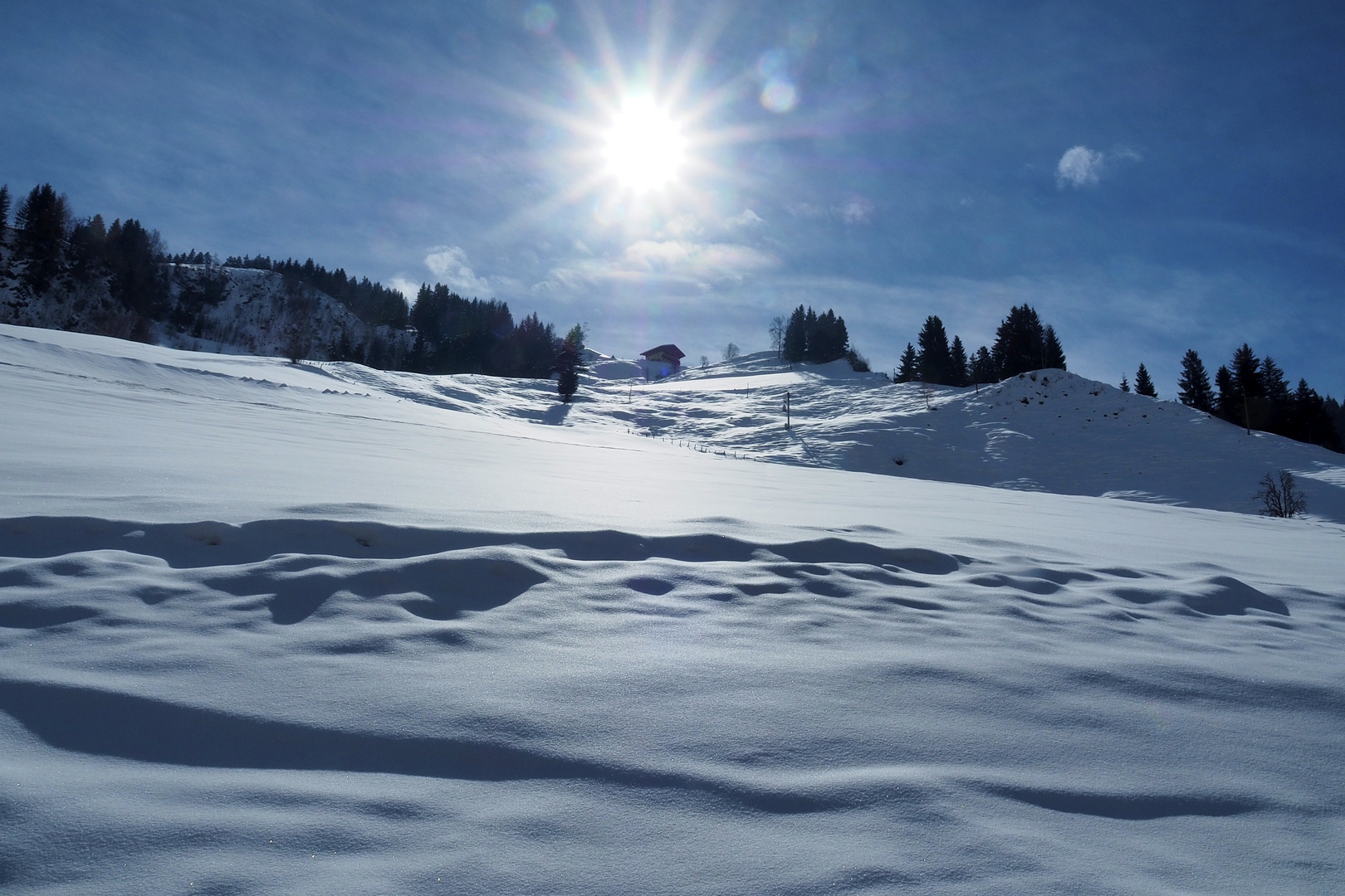 Gegenlicht mit Schneefeld in Elmau