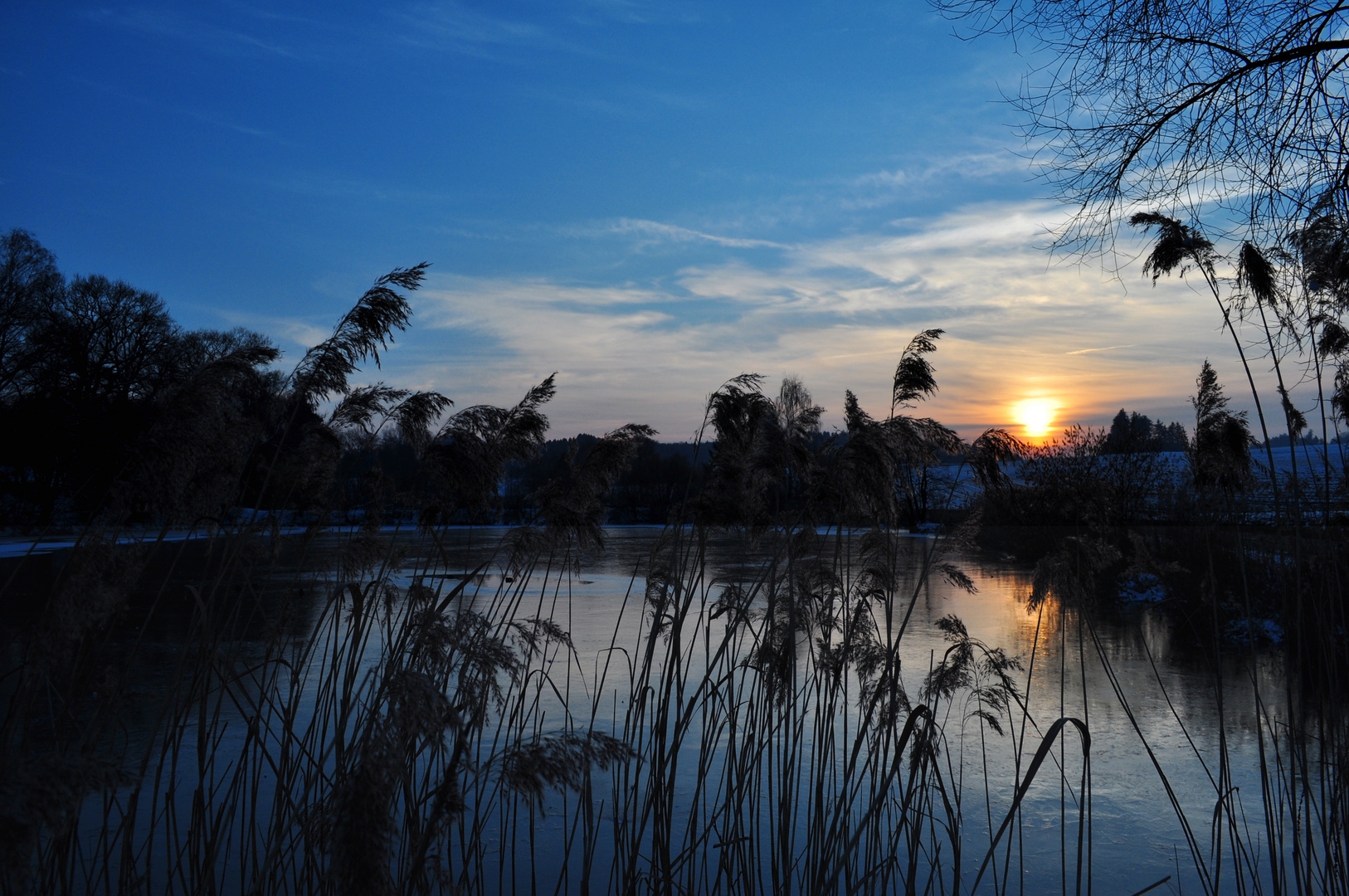 Gegenlicht: Mystic blue