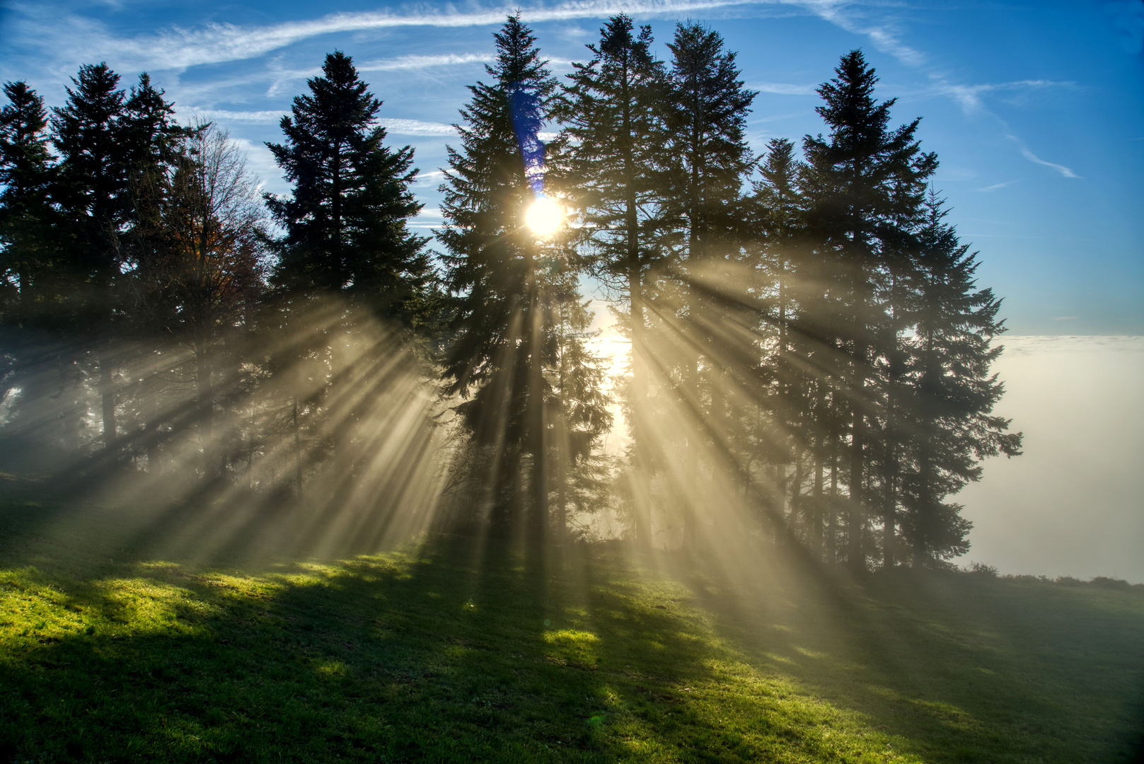 Gegenlicht nähe Hochberg