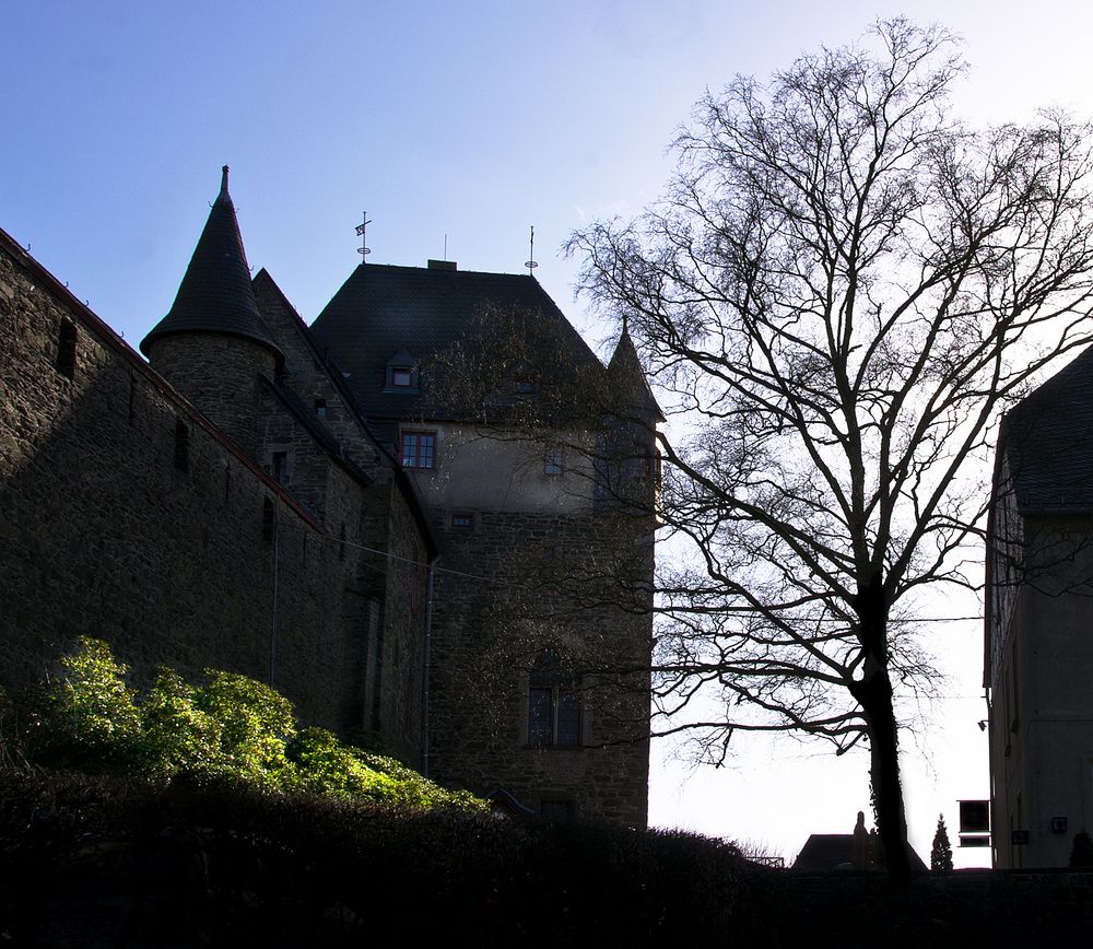 Gegenlicht: Schloss Burg