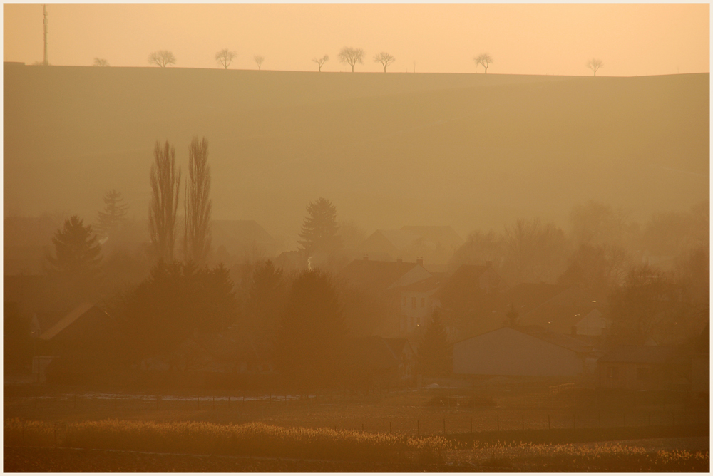 Gegenlicht und leichter Nebel...