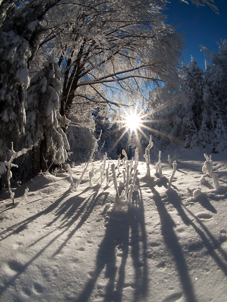 Gegenlicht und Schatten