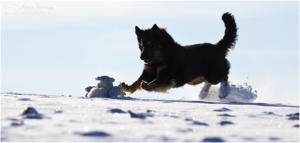 Gegenlicht und Schnee