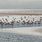 Gegenlicht Walvis Bay Lagune - silver Walvis Bay Lagune