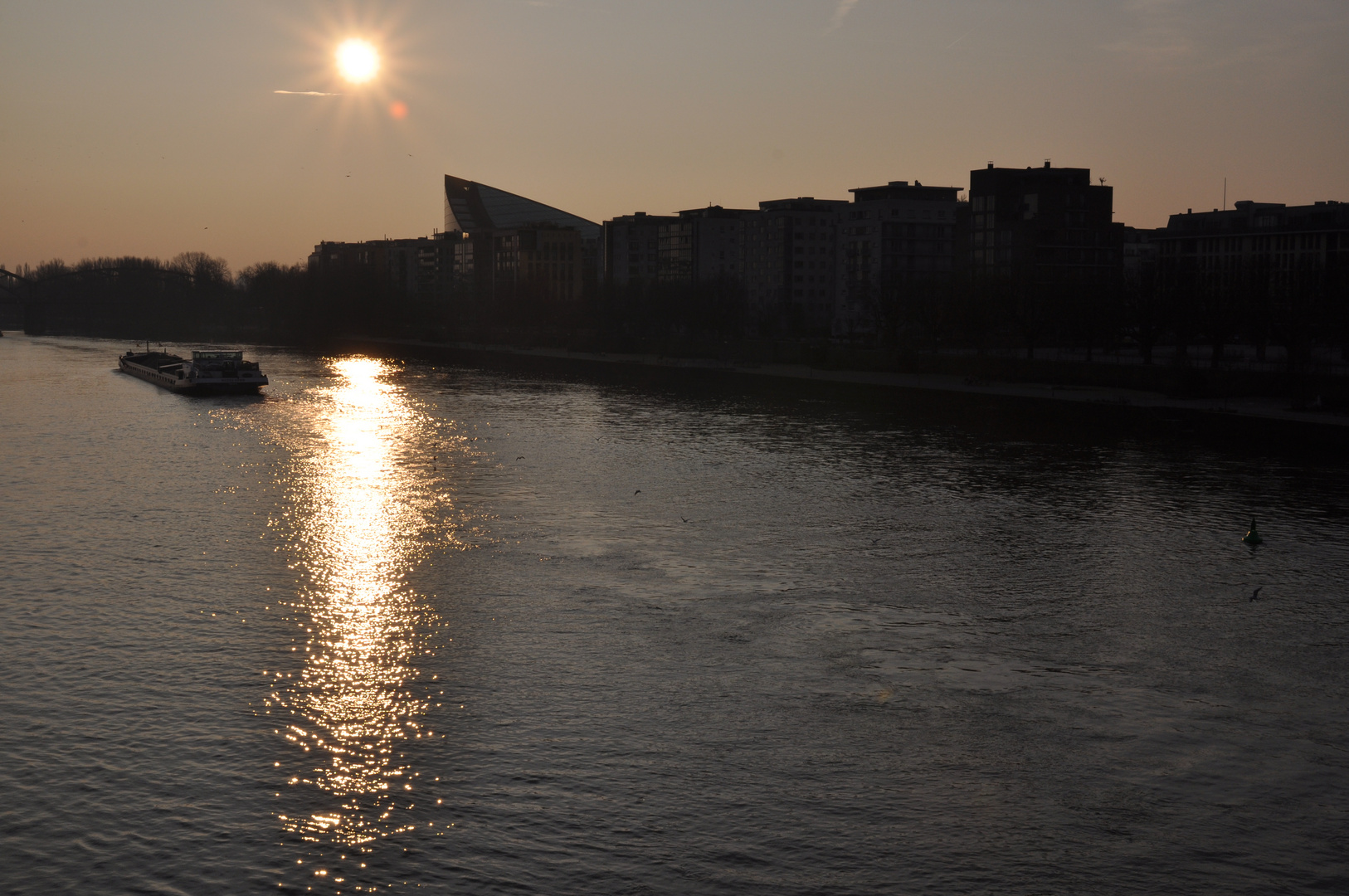 Gegenlichtaufnahme am Deutschherrnufer in Frankfurt mit Tamron 17-50