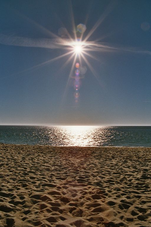 Gegenlichtaufnahme am Lister Ellenbogen ( Sylt )