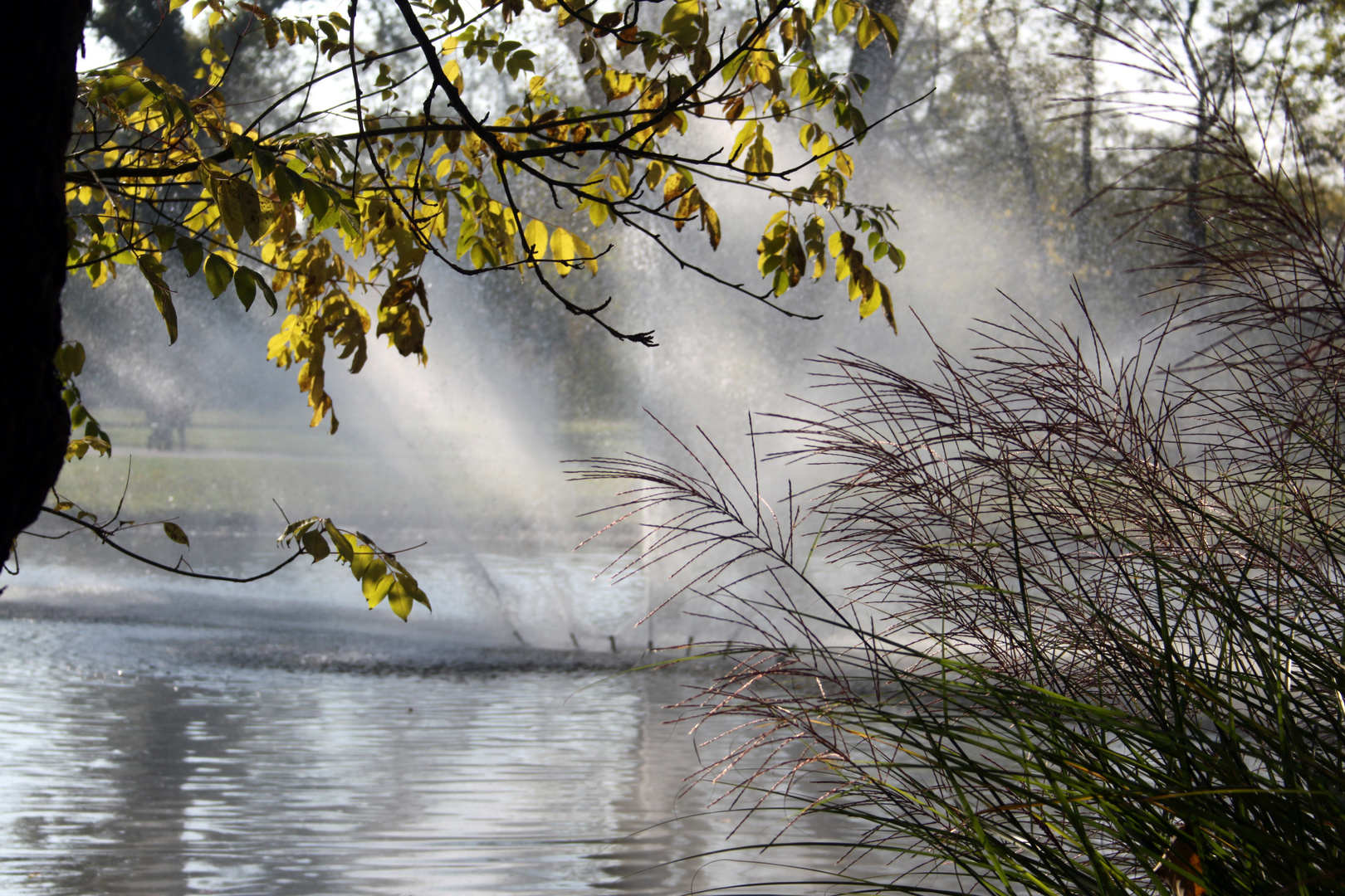 Gegenlichtaufnahme Fontäne im Kurpark Bad Bellingen