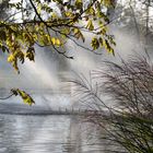 Gegenlichtaufnahme Fontäne im Kurpark Bad Bellingen