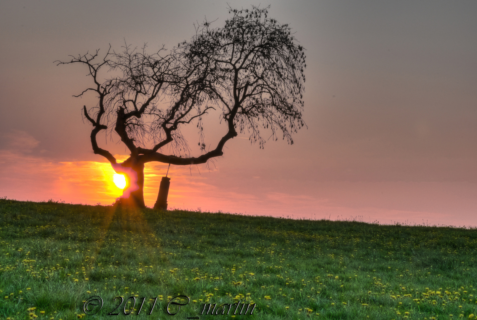 Gegenlicht_hdr