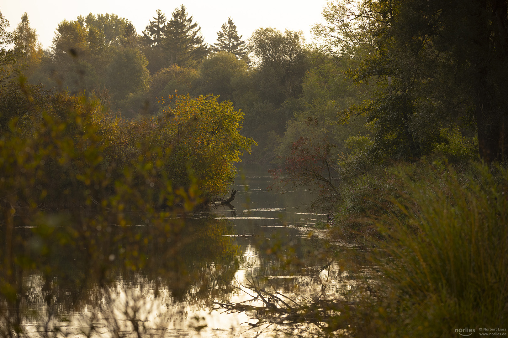 Gegenlichtstimmung am Wasser