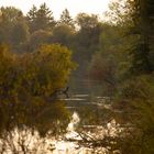 Gegenlichtstimmung am Wasser