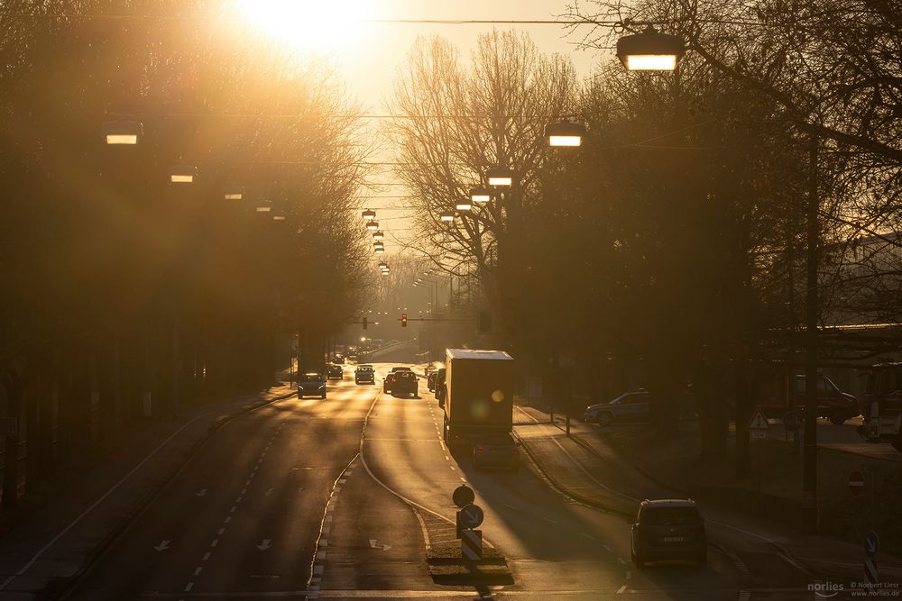 Gegenlichtstimmung an der Berliner Allee