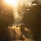 Gegenlichtstimmung an der Berliner Allee