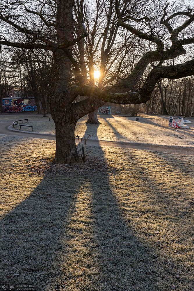 Gegenlichtstimmung in Lechhausen